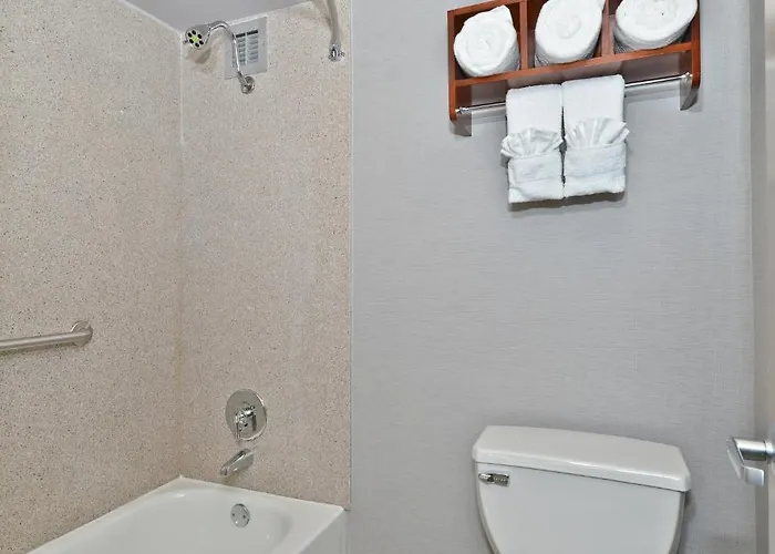 Wyndham Garden - O'hare Hotel 3*